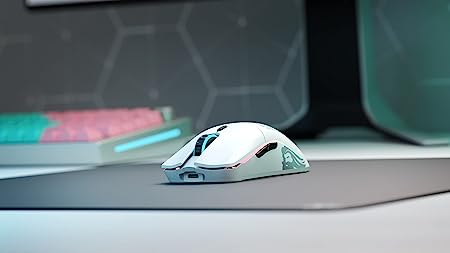 GLO-MS-OMW-MW (4)