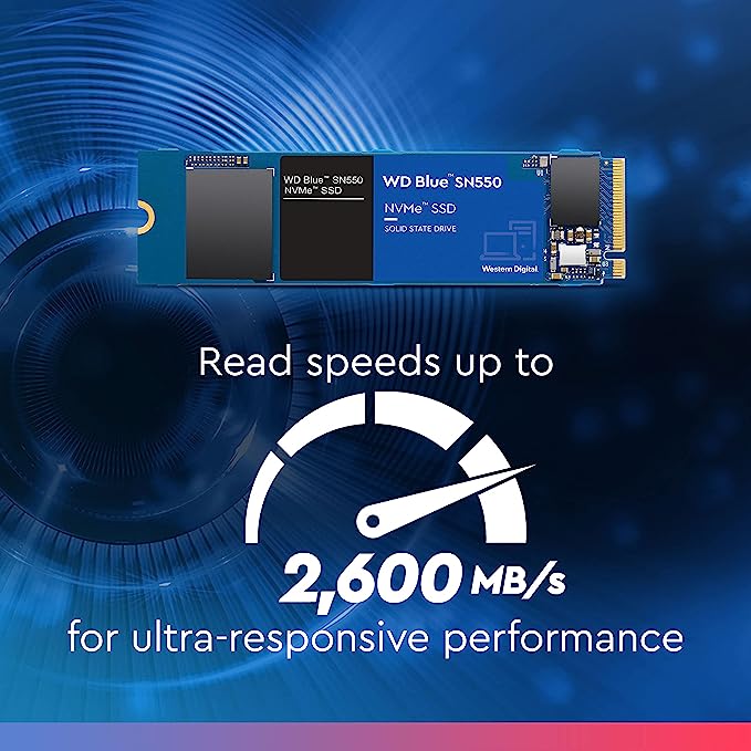 WDS500G2BOC (3)
